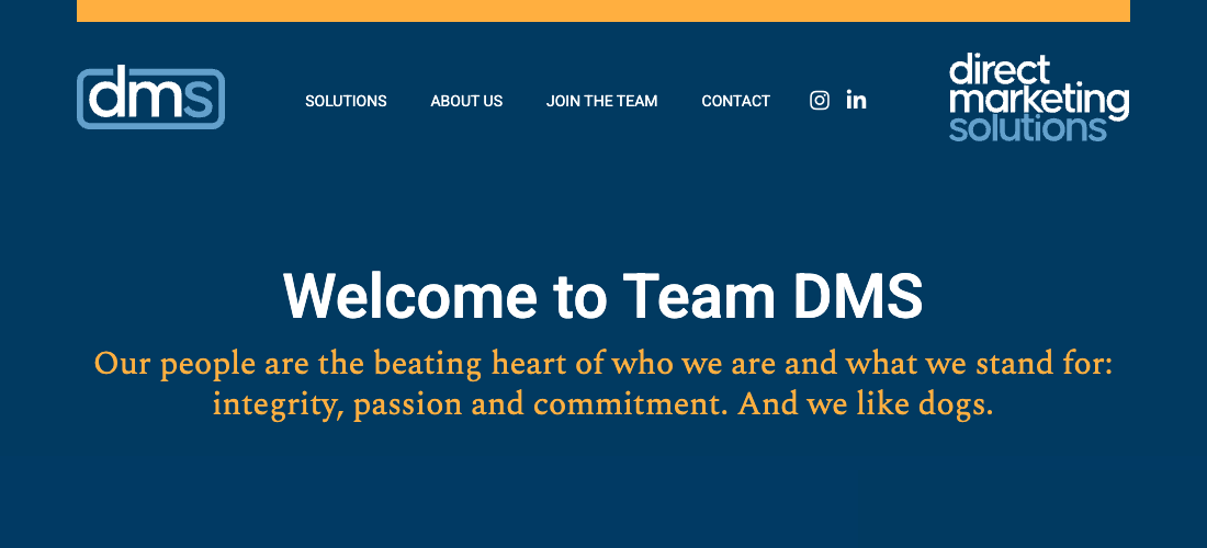Direct Marketing Solutions, Inc